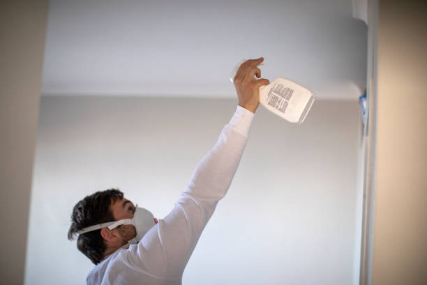 Best Mold Remediation Services  in Weston, FL