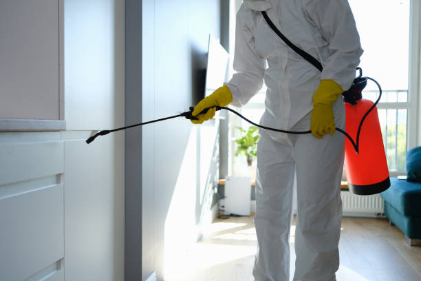 Mold Testing and Removal in Weston, FL