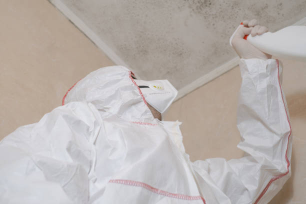 Best Professional Mold Removal  in Weston, FL