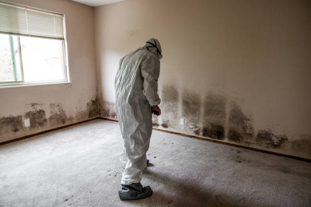 Best Crawl Space Mold Removal  in Weston, FL